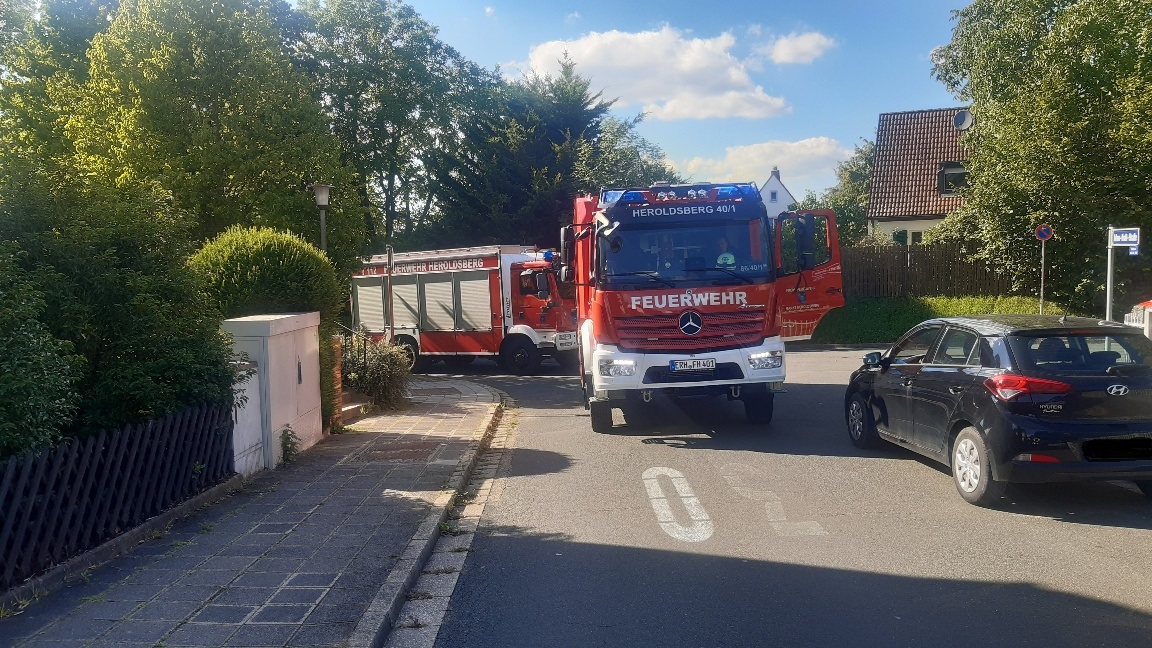 20230810_170931_resized bearbeitet.jpg